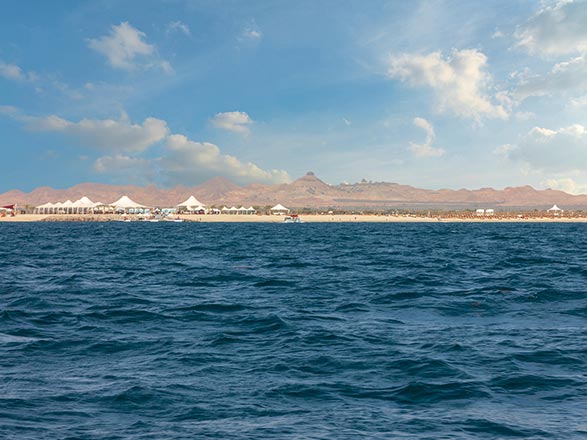 Escale Emirats Arabes Unis (Sir Bani Yas)