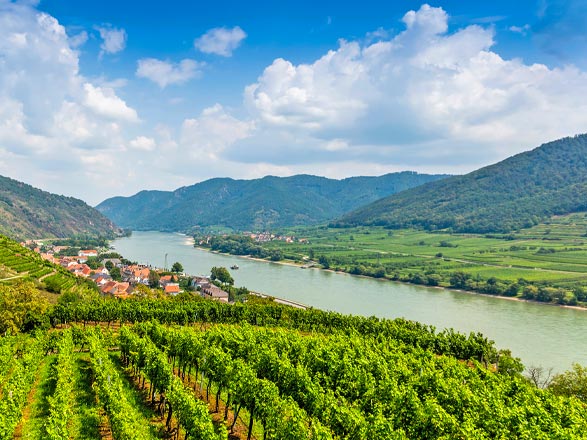 Escale Spitz (Autriche)