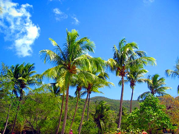 Escale Antigua et Barbuda (St John's)