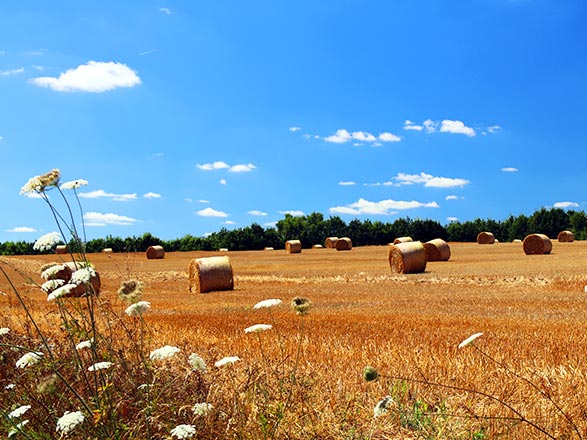 Escale SAINT-JEAN-DE-LOSNE