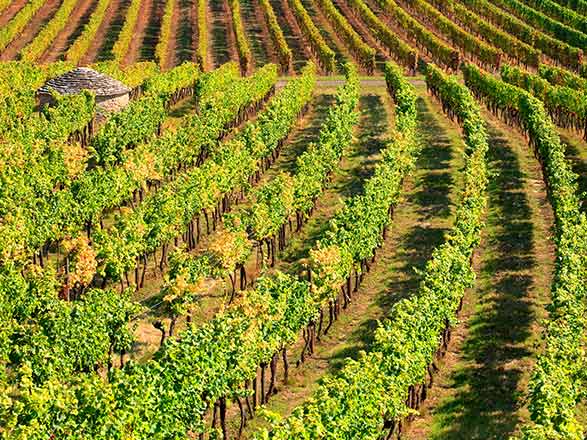 Escale SAINT-JEAN-DE-LOSNE