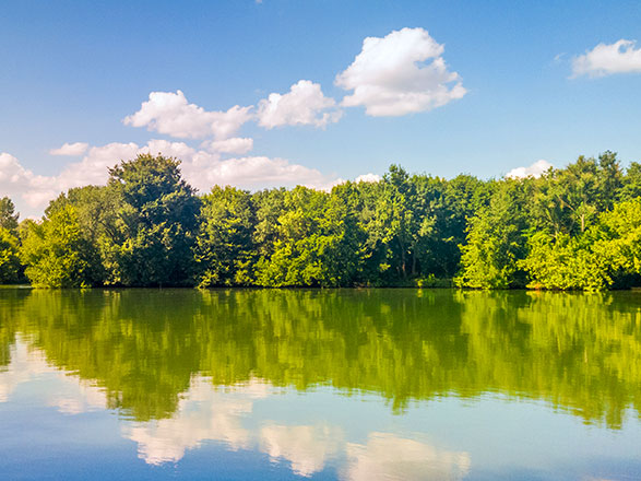 Escale SAINT-JEAN-DE-LOSNE