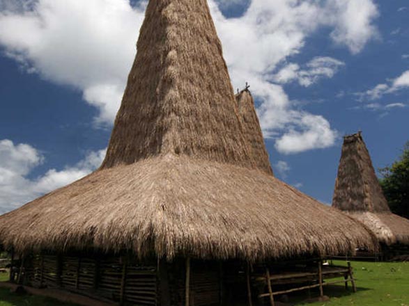 Escale Indonésie (Sumba)