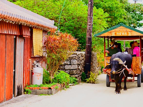 Escale Japon (Taketomjima)