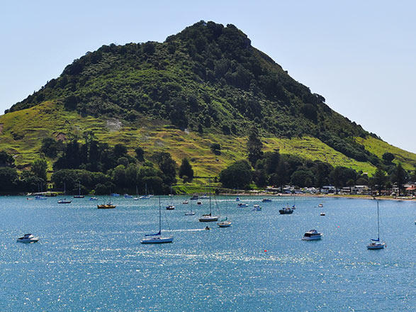 Escale Nouvelle-Zélande (Tauranga)