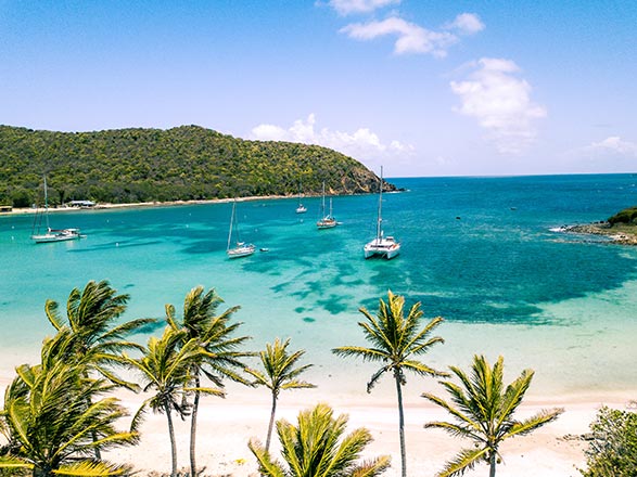 Escale St Vincent et les Grenadines (Tobago Cays - Cumberland)