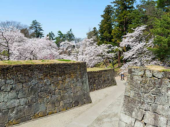 Escale Japon (Tsuruga)