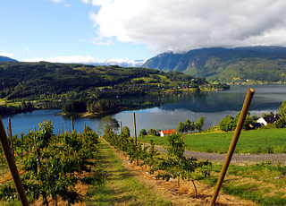 Escale Norvège (Ulvik)