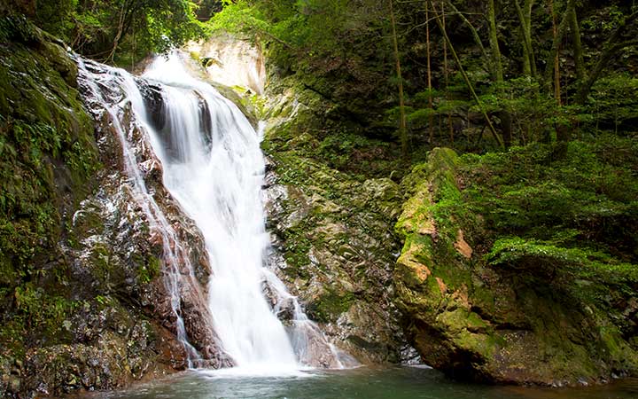 Escale Japon (Uwajima)