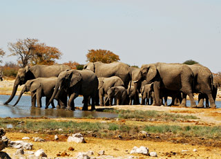 Escale Namibie (Walvis Bay)