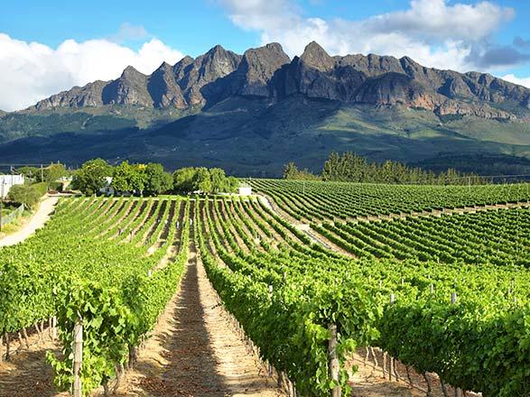 Escale Nouvelle-Zélande (Wellington)