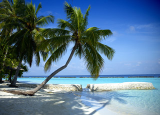 Escale Australie (Whitsundays)