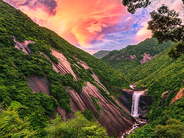 Escale Japon (Yakushima)