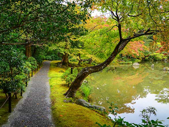 Escale Japon (Yakushima)