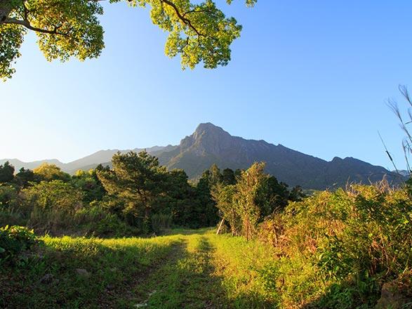 Escale Japon (Yakushima)