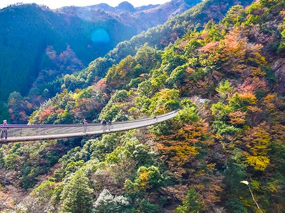 Escale Japon (Yatsushiro)