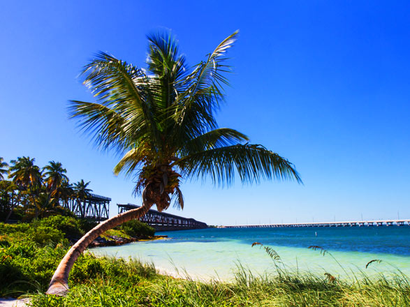 https://static.service-voyages.com/mobile/croisiere/images/fr/escales/escale,port canaveral-port canaveral_zoom,US,PCV,32905.jpg