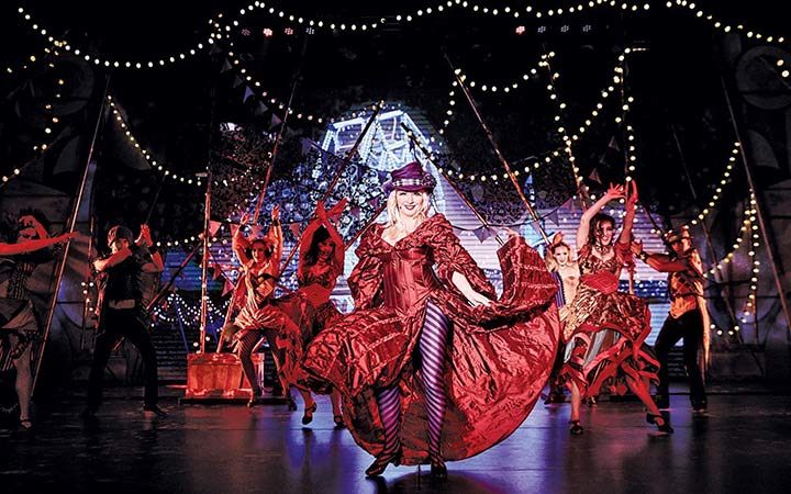 Navire Diamond Princess