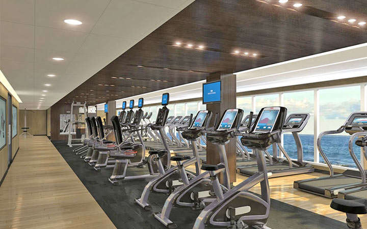 Navire Emerald Princess