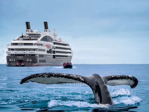 https://static.service-voyages.com/mobile/croisiere/images/fr/navires/navire,le-boreal_max,463,34662.jpg