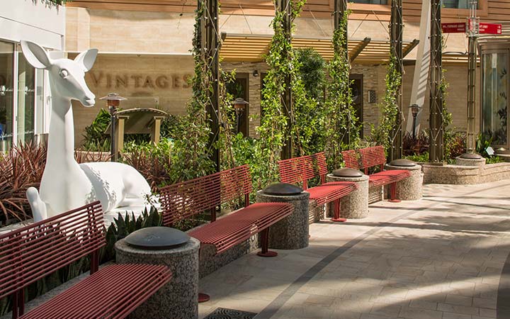 Navire Symphony of the Seas