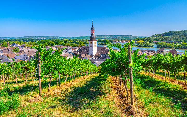 Escale Rudesheim 