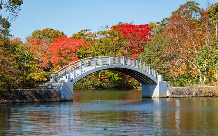 Escale Hakodate