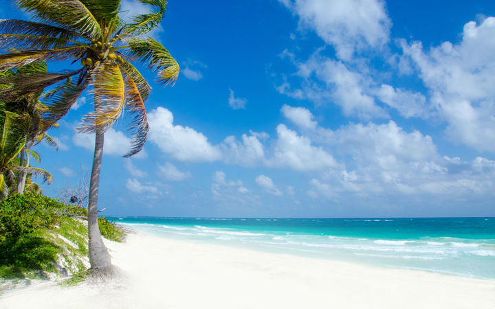 Escale Playa del Carmen