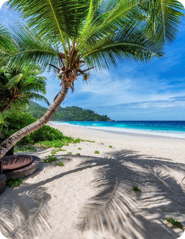 https://static.service-voyages.com/photos/vignettes/mb_abcroisiere/20231121085450-mb_abcroisiere-lpd__top_caraibes_et_antilles.png