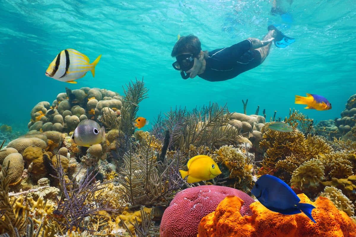 Croisière plongée et snorkeling Caraïbes